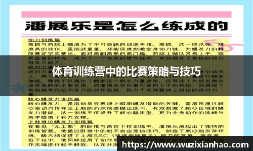 体育训练营中的比赛策略与技巧